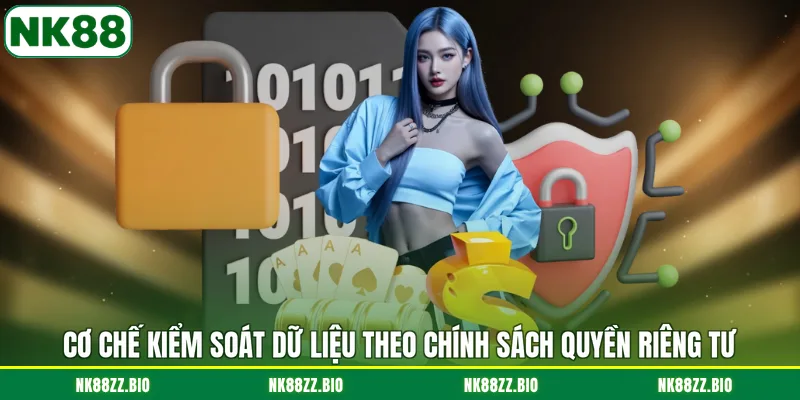 co-che-kiem-soat-du-lieu-theo-chinh-sach-quyen-rieng-tu