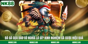 da-ga-cua-dao-co-nghia-la-gi-kinh-nghiem-ca-cuoc-hieu-qua